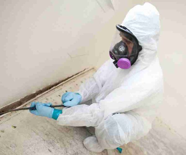 Mold remediation at Georgia State Universty