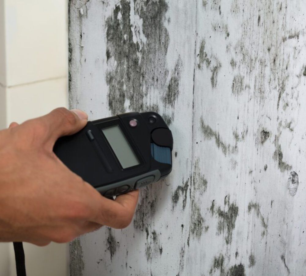 Verification and Documentation